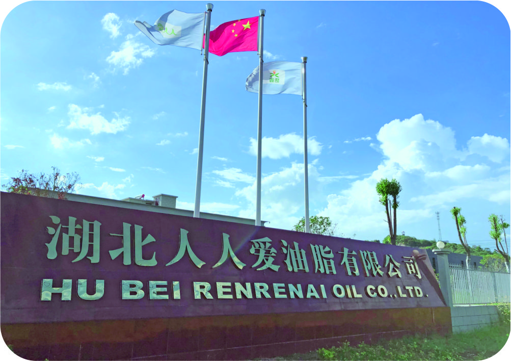 湖北人人愛50噸/天茶籽制油項(xiàng)目