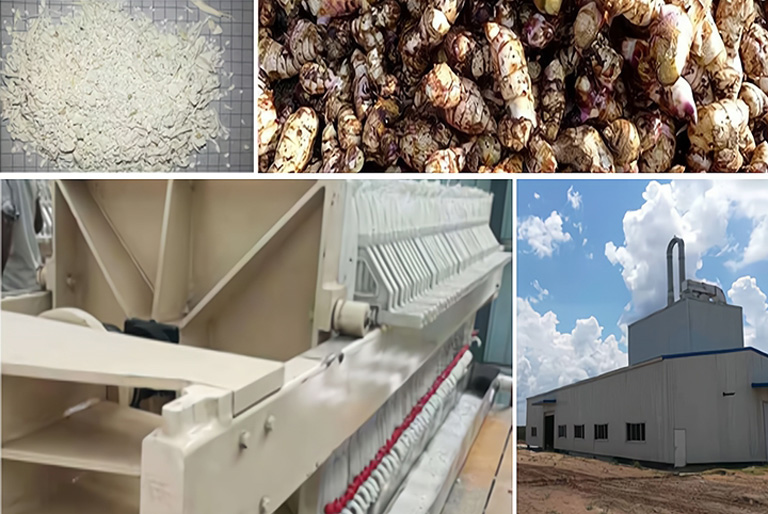 芭蕉芋淀粉成套加工設(shè)備