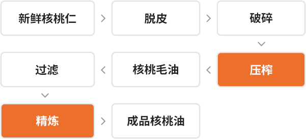 Walnut Oil Pressing Cold Pressing