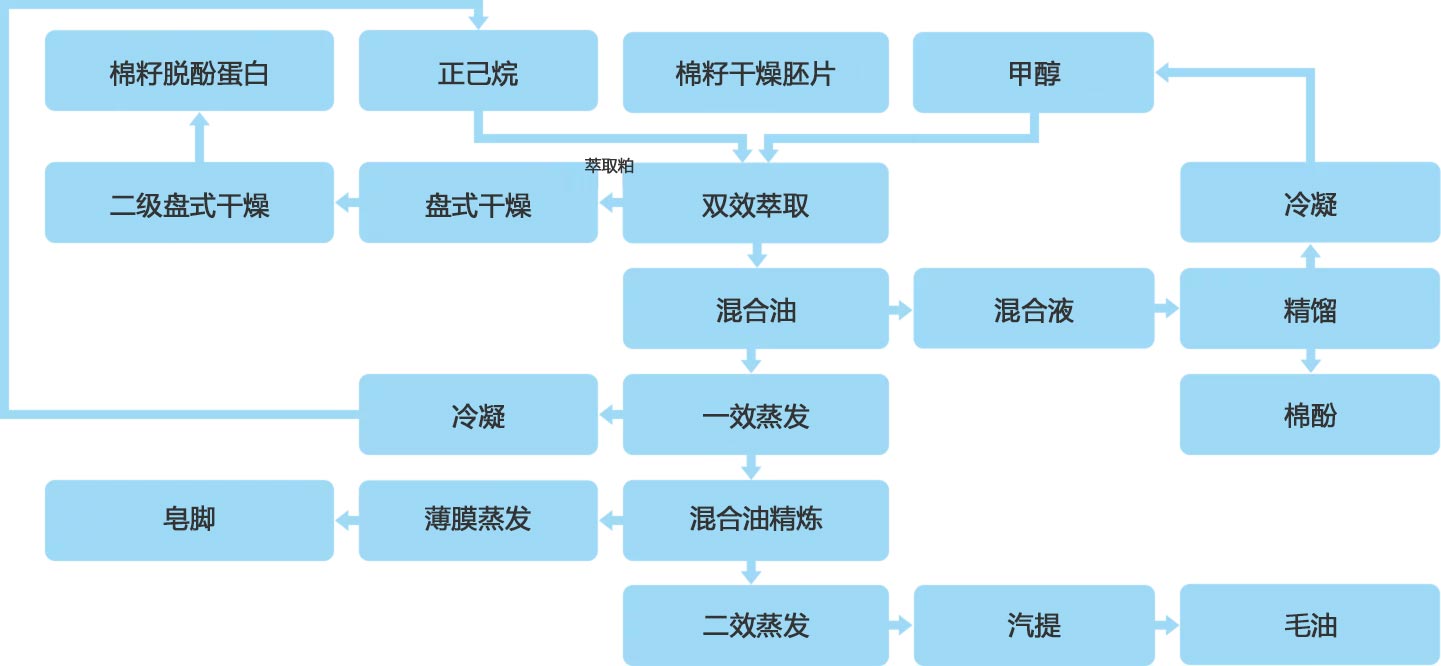 棉籽脫酚蛋白工程流程